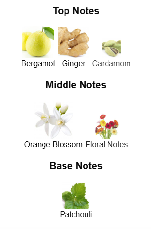 Yves Saint Laurent MYSLF L'Absolu