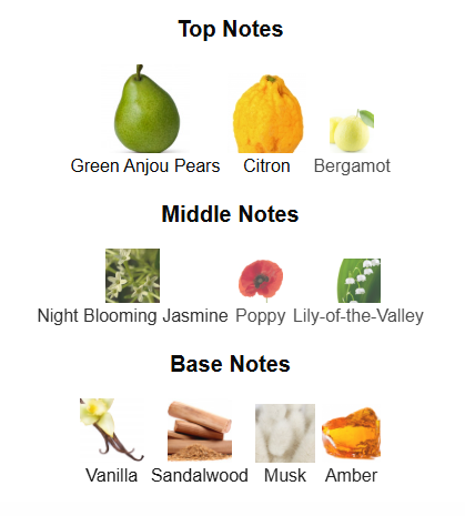 Michael Malul's Citizen Jill