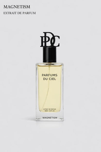 Magnetism by Parfums Du Ciel