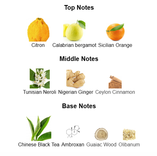 Louis Vuitton Imagination