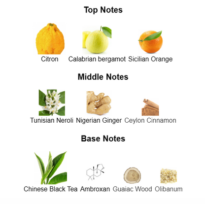 Louis Vuitton Imagination