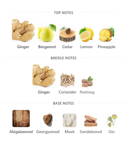 Michael Malul London Ginger+Mist