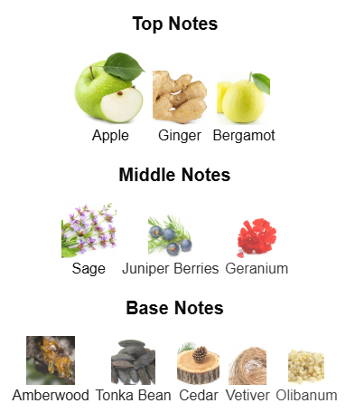 Yves Saint Laurent Y EDP