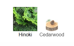 Jo Malone's Hinoki &amp; Cedarwood