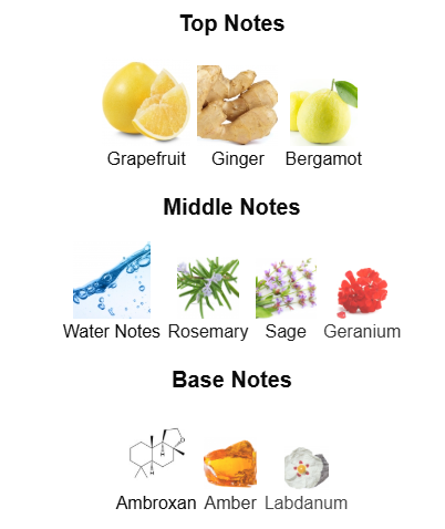 Louis Vuitton L'Immensité