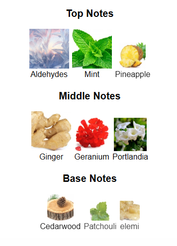 Cartoonist by Michael Malul