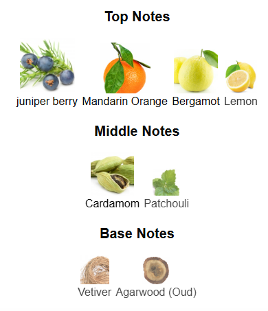 Fragrance One Date for Men