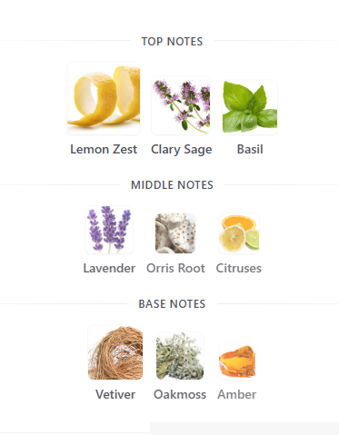 Michael Malu London Zest+Vetiver