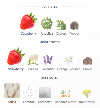 Michael Malul Berry+Blanche