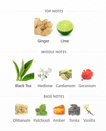 Aromatix Teas Me